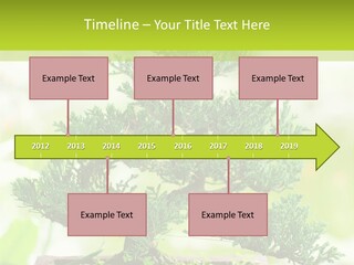 Oriental Colour Japan PowerPoint Template