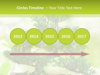 Oriental Colour Japan PowerPoint Template