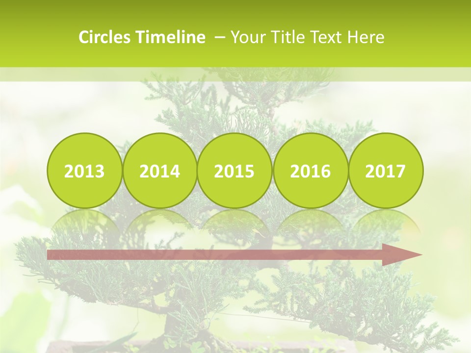 Oriental Colour Japan PowerPoint Template