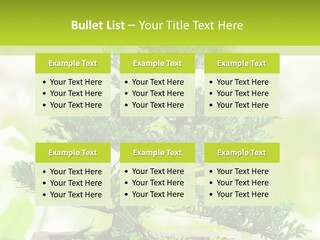 Oriental Colour Japan PowerPoint Template