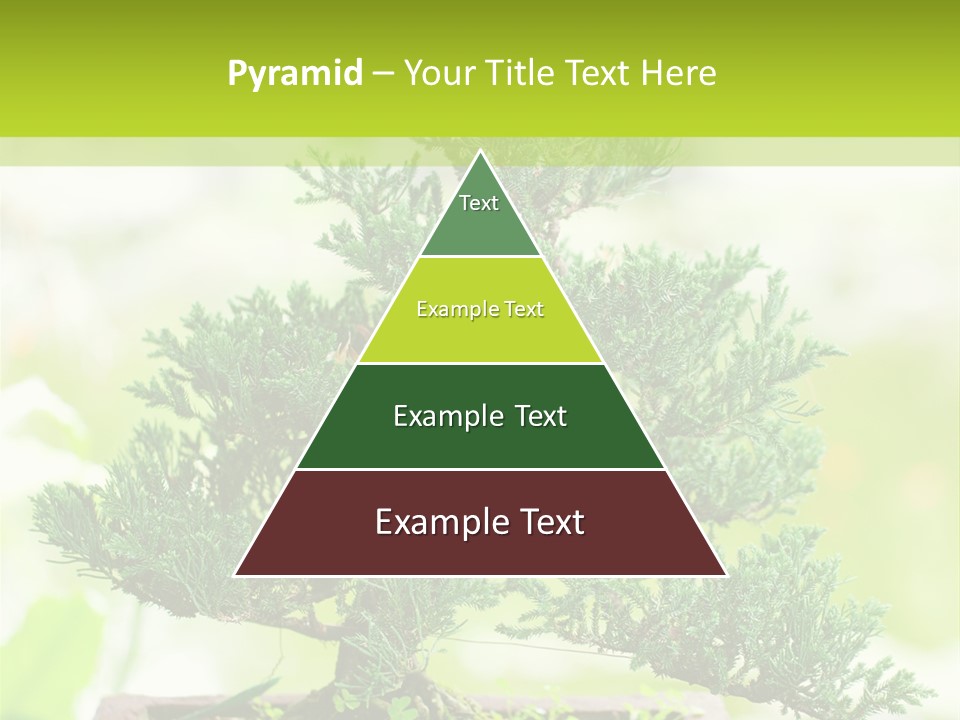 Oriental Colour Japan PowerPoint Template