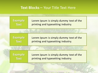 Oriental Colour Japan PowerPoint Template