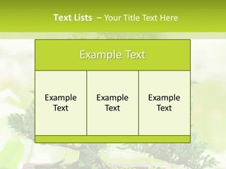 Oriental Colour Japan PowerPoint Template