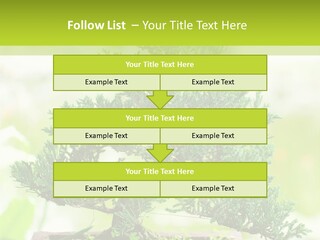 Oriental Colour Japan PowerPoint Template