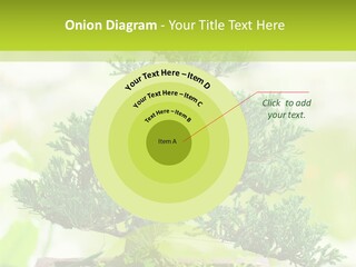 Oriental Colour Japan PowerPoint Template