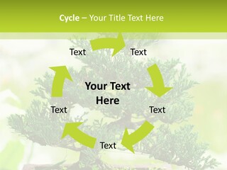 Oriental Colour Japan PowerPoint Template
