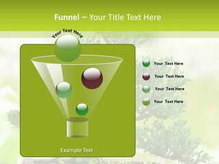 Oriental Colour Japan PowerPoint Template