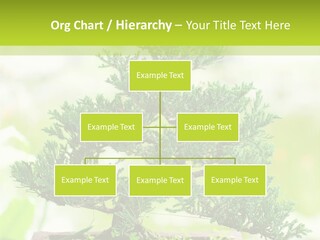 Oriental Colour Japan PowerPoint Template