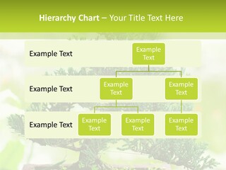 Oriental Colour Japan PowerPoint Template