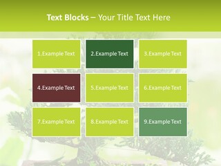 Oriental Colour Japan PowerPoint Template