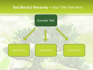 Oriental Colour Japan PowerPoint Template