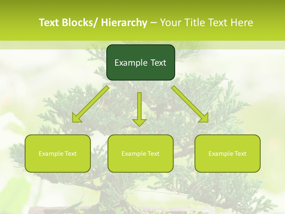 Oriental Colour Japan PowerPoint Template