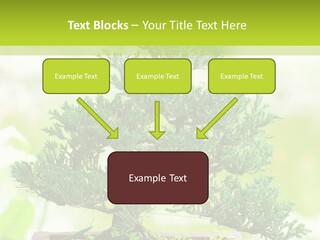 Oriental Colour Japan PowerPoint Template