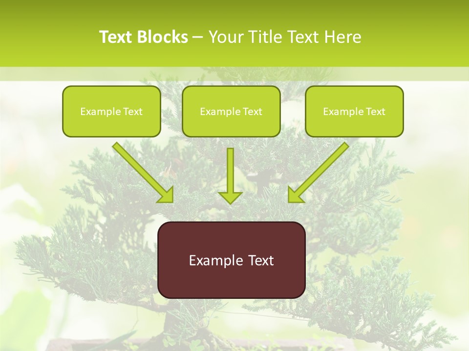 Oriental Colour Japan PowerPoint Template