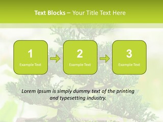 Oriental Colour Japan PowerPoint Template