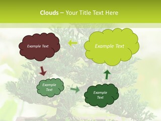 Oriental Colour Japan PowerPoint Template