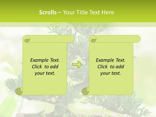 Oriental Colour Japan PowerPoint Template