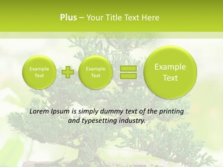 Oriental Colour Japan PowerPoint Template