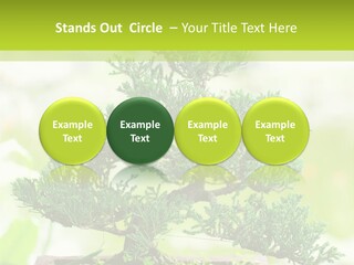 Oriental Colour Japan PowerPoint Template