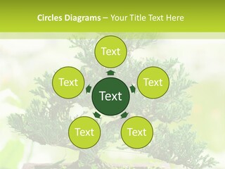 Oriental Colour Japan PowerPoint Template