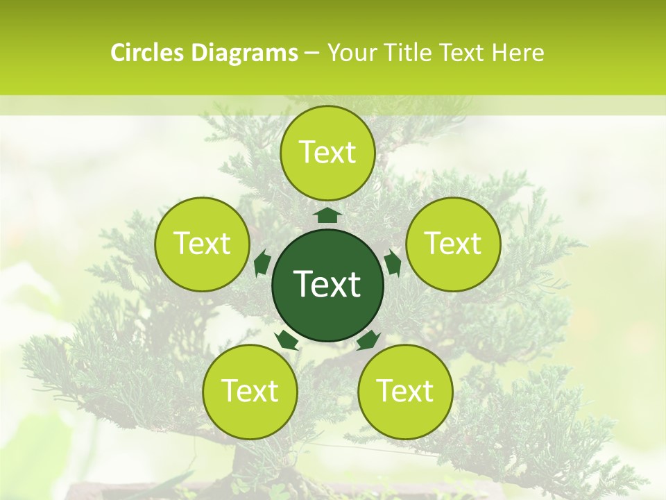 Oriental Colour Japan PowerPoint Template