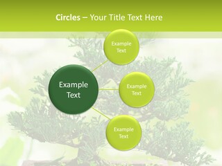 Oriental Colour Japan PowerPoint Template