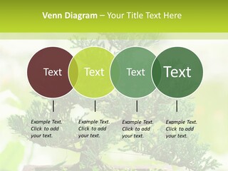 Oriental Colour Japan PowerPoint Template