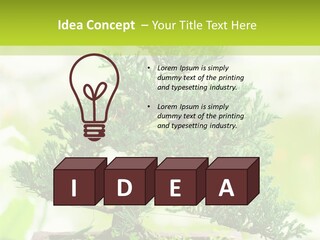 Oriental Colour Japan PowerPoint Template