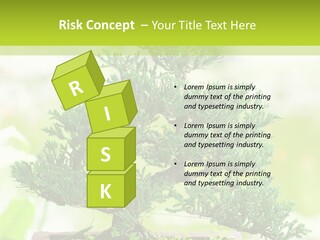 Oriental Colour Japan PowerPoint Template