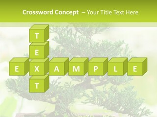 Oriental Colour Japan PowerPoint Template