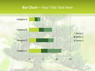 Oriental Colour Japan PowerPoint Template