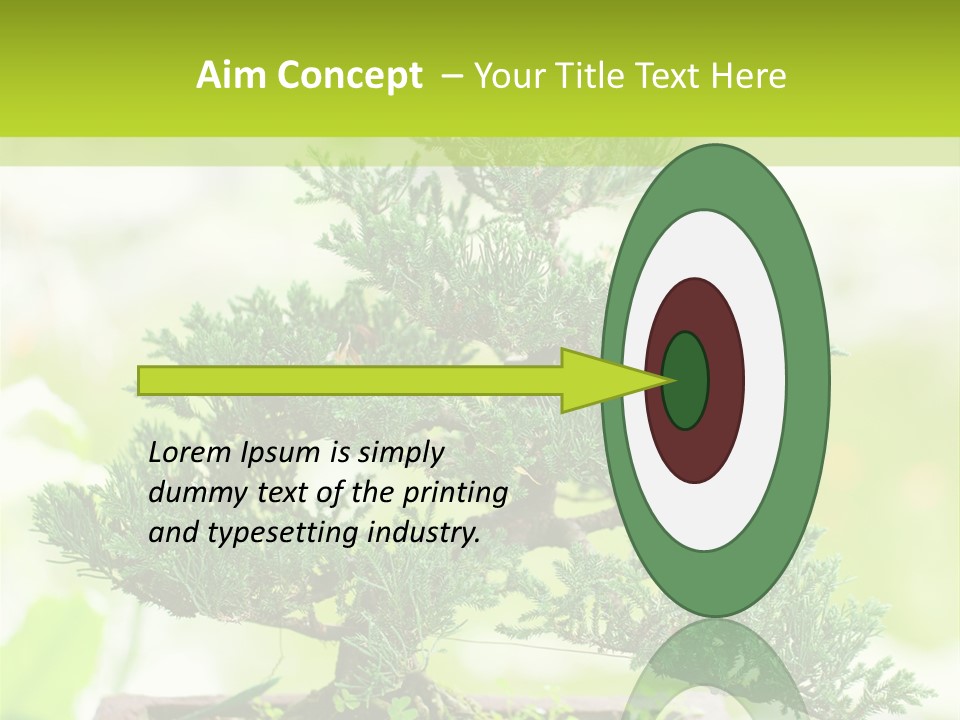 Oriental Colour Japan PowerPoint Template