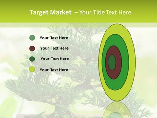 Oriental Colour Japan PowerPoint Template