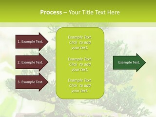 Oriental Colour Japan PowerPoint Template