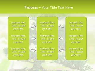 Oriental Colour Japan PowerPoint Template