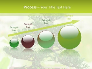 Oriental Colour Japan PowerPoint Template