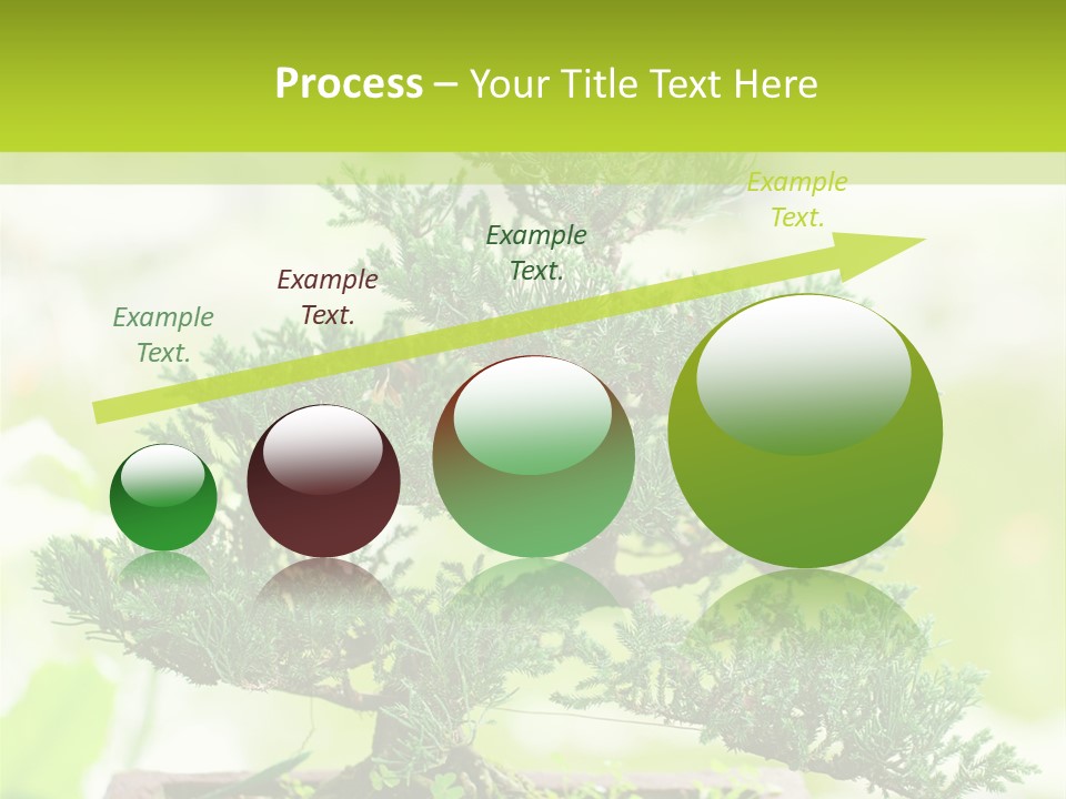 Oriental Colour Japan PowerPoint Template