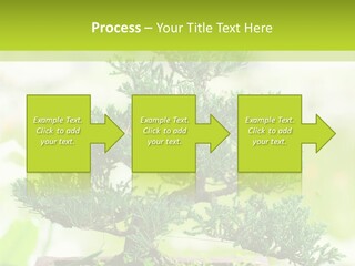 Oriental Colour Japan PowerPoint Template