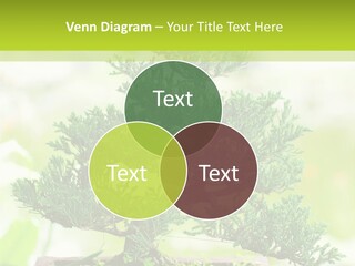 Oriental Colour Japan PowerPoint Template