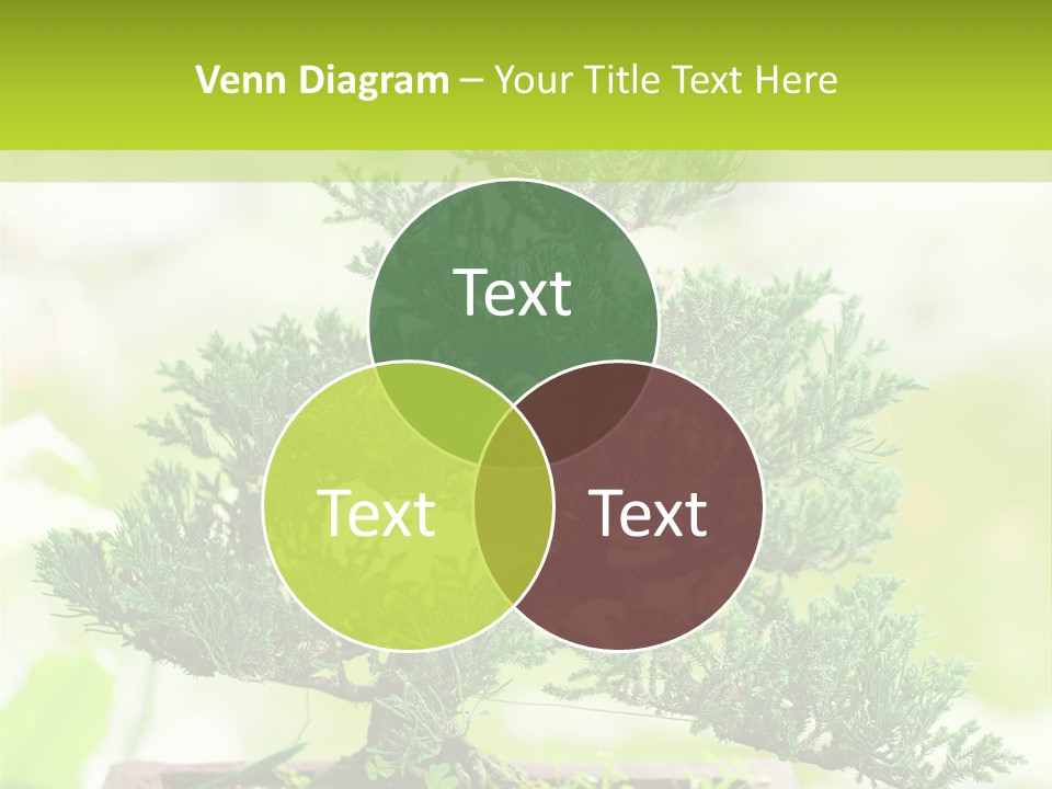 Oriental Colour Japan PowerPoint Template