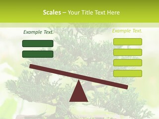 Oriental Colour Japan PowerPoint Template