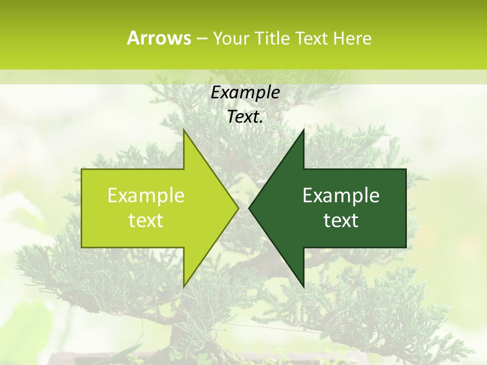 Oriental Colour Japan PowerPoint Template