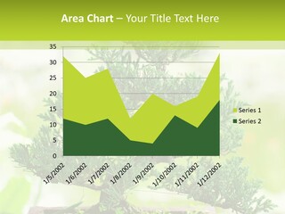 Oriental Colour Japan PowerPoint Template