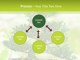 Oriental Colour Japan PowerPoint Template