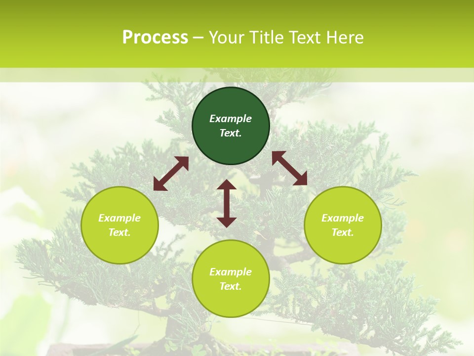 Oriental Colour Japan PowerPoint Template