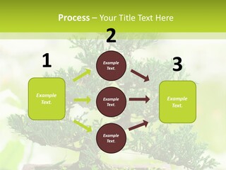 Oriental Colour Japan PowerPoint Template