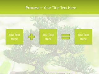 Oriental Colour Japan PowerPoint Template