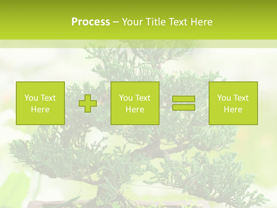 Oriental Colour Japan PowerPoint Template