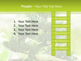 Oriental Colour Japan PowerPoint Template