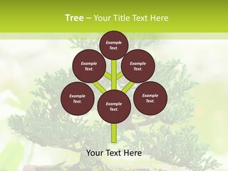 Oriental Colour Japan PowerPoint Template